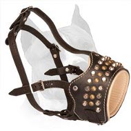 Studded and Padded Leather Amstaff Muzzle with Open-Front Part