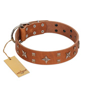 "Dreamy Gleam" FDT Artisan Tan Leather Amstaff Collar Adorned with Stars and Squares