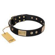 "Antique Gloss" FDT Artisan Black Leather Amstaff Collar with Bronze-like Plates and Small Studs "Antique Gloss" FDT Artisan Black Leather Amstaff Collar with Bronze-like Plates and Small Studs