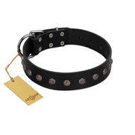 "Flower Rhapsody" FDT Artisan Premium Quaulity Black Leather Amstaff Collar