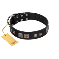 "Foregone Riches" FDT Artisan Black Leather Amstaff Collar with Old Silver-like Square Studs and Pyramids