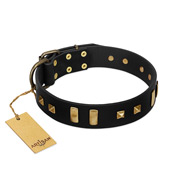 "Fit for Royalty" FDT Artisan Black Leather Amstaff Collar with Plates and Small Square Studs