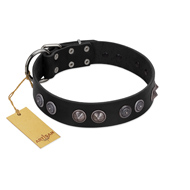 "Silver Medallions" Mod FDT Artisan Black Leather Amstaff Collar with Round Plates