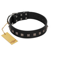 "Natural Beauty" Premium Quality FDT Artisan Black Designer Amstaff Collar with Dotted Studs  "Natural Beauty" Premium Quality FDT Artisan Black Designer Amstaff Collar with Dotted Studs