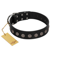 "Silent Star" Handmade FDT Artisan Designer Black Leather Amstaff Collar with Engraved Plates  "Silent Star" Handmade FDT Artisan Designer Black Leather Amstaff Collar with Engraved Plates