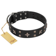 "Star Excitement" Modern FDT Artisan Black Leather Amstaff Collar with Studs and Stars