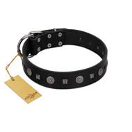 "Mr. Elegance" Designer FDT Artisan Black Leather Amstaff Collar with Silver-Like Studs