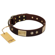 "Middle Age" FDT Artisan Brown Leather Amstaff Collar with Old Bronze-Plated Engraved Flowers and Large Plates