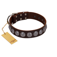 "Charming Circles" FDT Artisan Brown Leather Amstaff Collar with Silver-like Studs