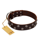"Blossom Jewel" FDT Artisan Brown Leather Amstaff Collar with Two Rows of Silver-like Studs with Engraved Flowers
