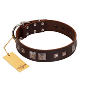 "Object of Virtu" FDT Artisan Brown Leather Amstaff Collar with Old Silver-like Square Studs and Pyramids