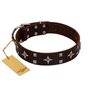 "Trendy Candy" FDT Artisan Brown Leather Amstaff Collar Adorned with Stars and Tiny Squares
