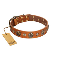 "Call of Feat" FDT Artisan Tan Leather Amstaff Collar with Old Bronze-like Studs and Oval Brooches