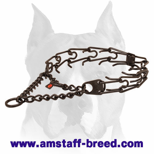 Black Pinch Dog Collar Made of Stainless Steel
