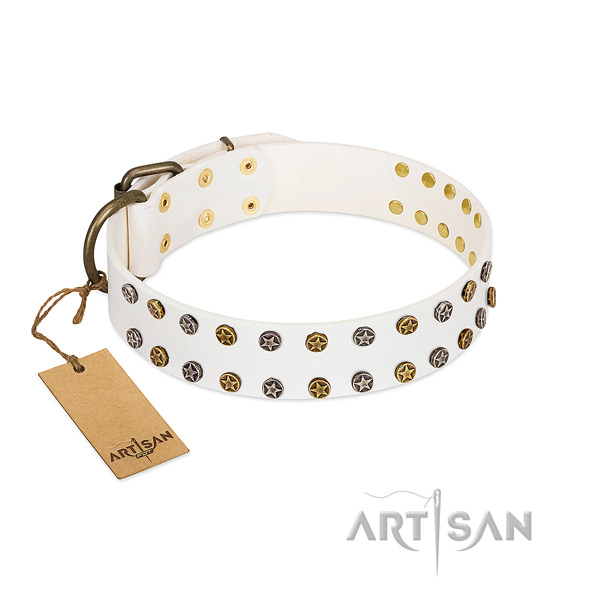 Trendy natural leather dog collar with reliable decorations