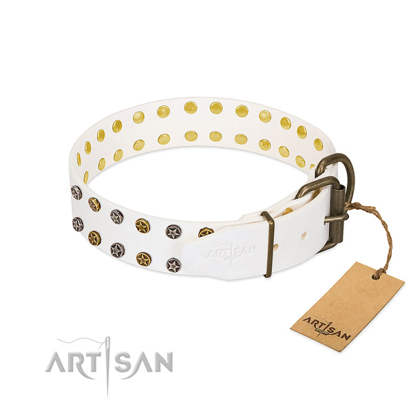 Designer full grain leather dog collar with strong decorations