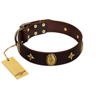 "Victory and Laurels" FDT Artisan Brown Leather Amstaff Collar with Ovals and Stars