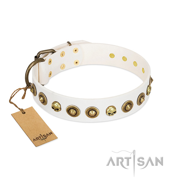 Full grain leather collar with exquisite decorations for your dog