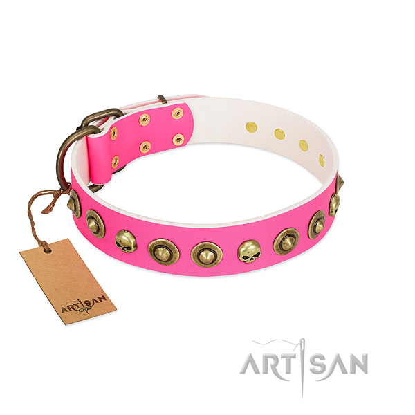 Impressive full grain leather dog collar with strong studs