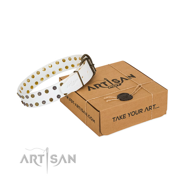 Impressive full grain genuine leather dog collar with rust resistant studs