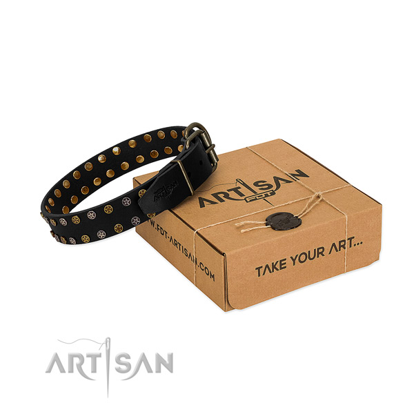 Designer full grain leather dog collar with corrosion proof studs