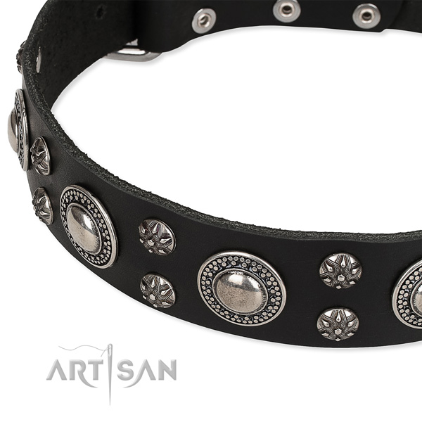 Daily walking embellished dog collar of strong genuine leather