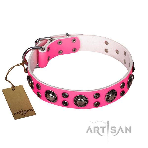 Comfy wearing dog collar of best quality full grain natural leather with studs