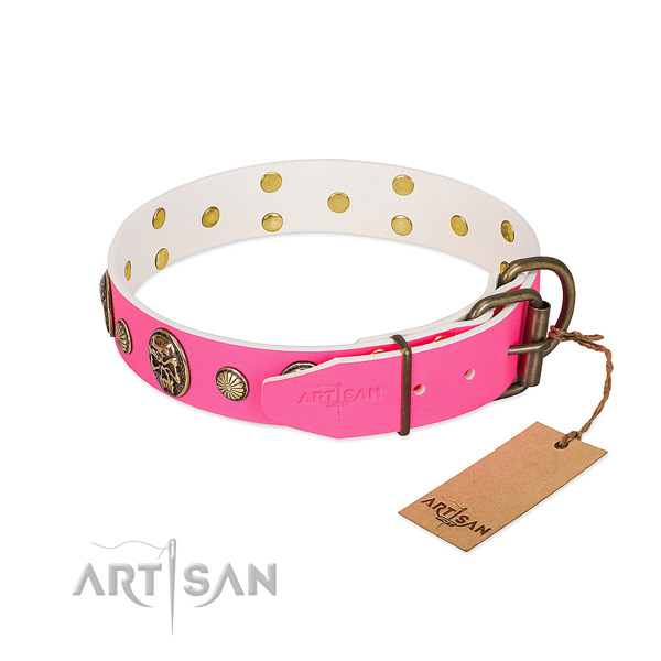 Strong studs on leather dog collar for your canine