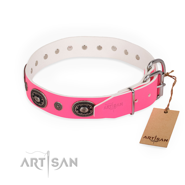 Walking stunning dog collar with corrosion proof fittings