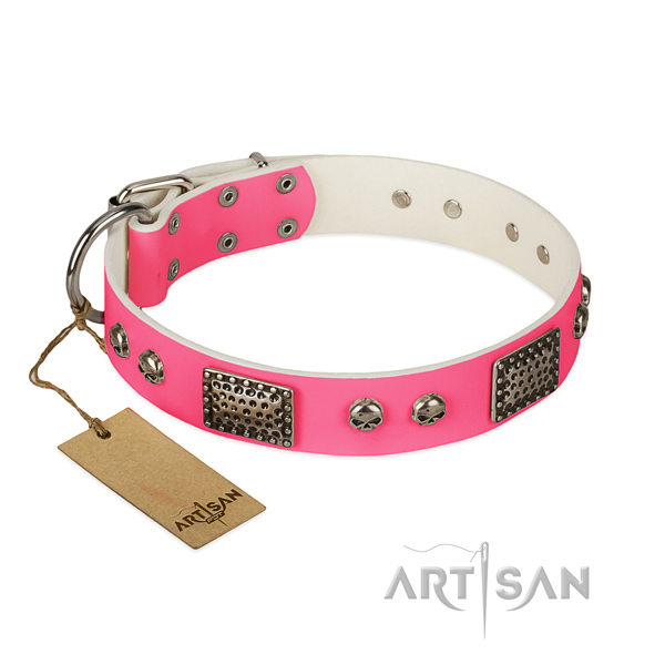 Easy to adjust natural leather dog collar for basic training your pet