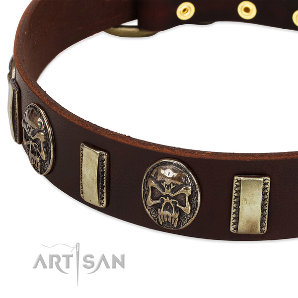 Corrosion proof fittings on full grain leather dog collar for your doggie