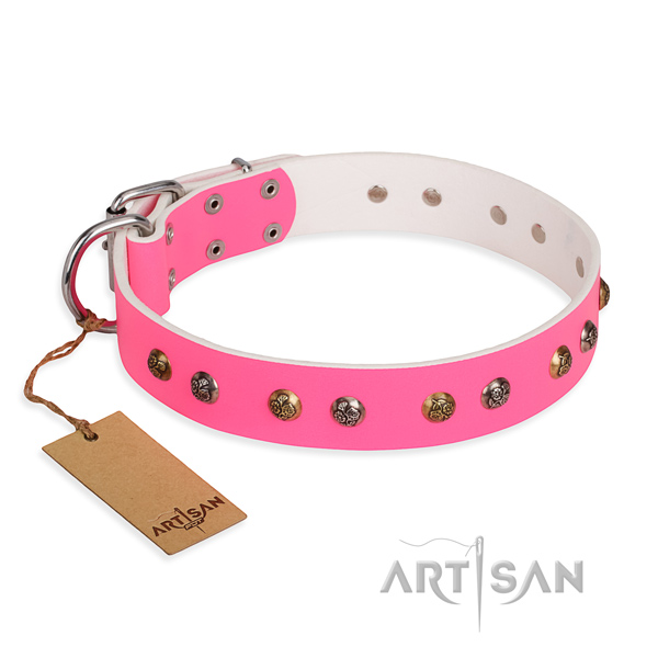 Everyday use stylish dog collar with strong D-ring