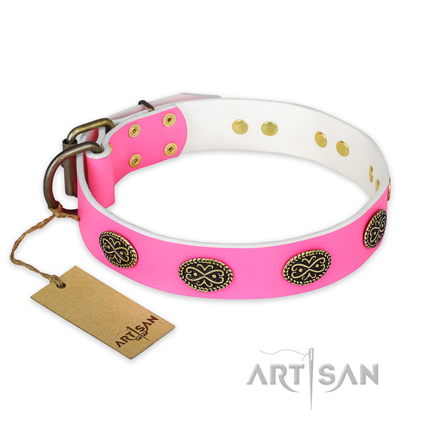 Awesome full grain natural leather dog collar for everyday walking