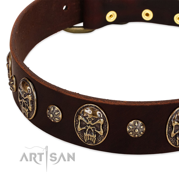 Reliable fittings on genuine leather dog collar for your doggie