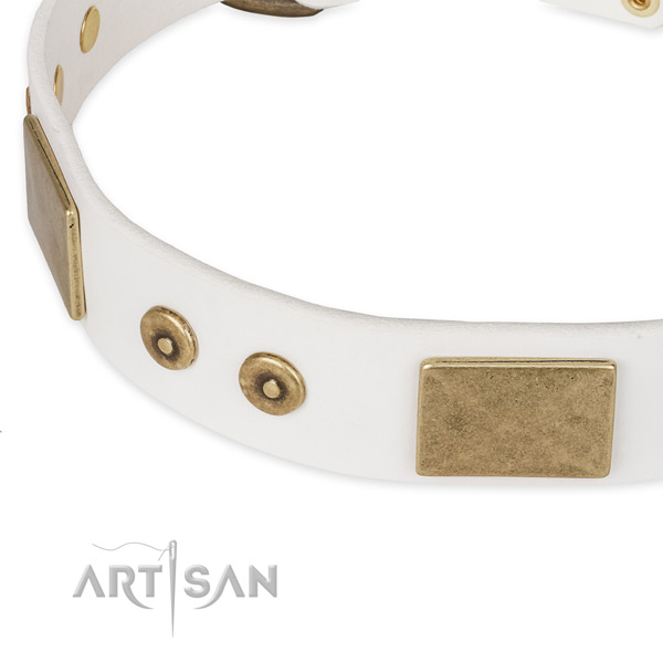 Corrosion resistant embellishments on full grain leather dog collar for your doggie
