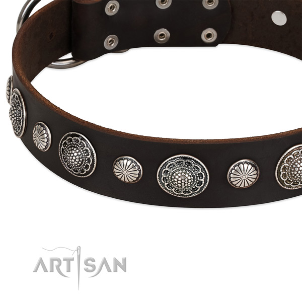 Full grain leather collar with rust-proof buckle for your impressive pet