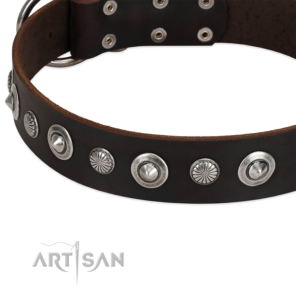Stylish embellished dog collar of fine quality full grain leather