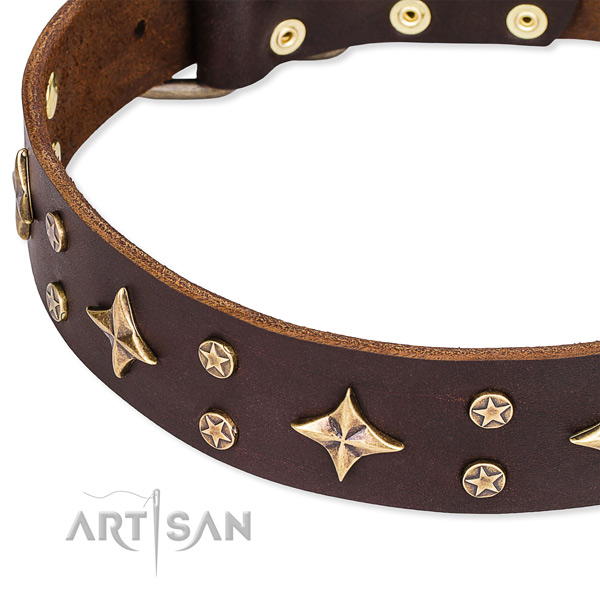 Everyday walking studded dog collar of fine quality full grain genuine leather