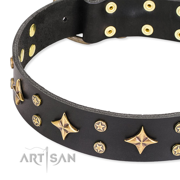 Comfy wearing studded dog collar of best quality genuine leather