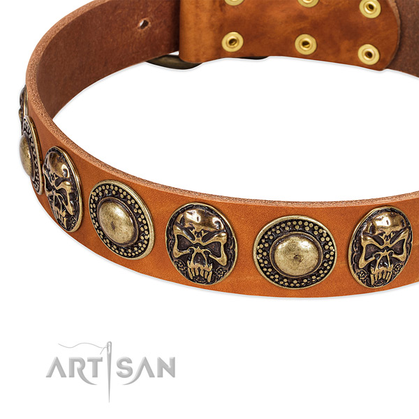 Strong buckle on leather dog collar for your canine