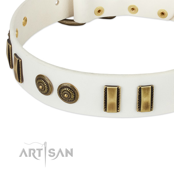 Reliable embellishments on full grain genuine leather dog collar for your pet
