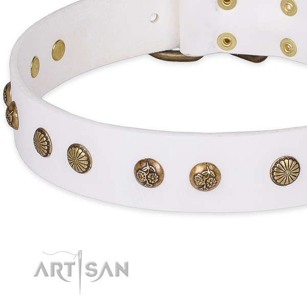 Full grain natural leather collar with strong fittings for your attractive pet