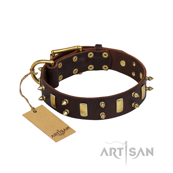 Daily walking dog collar of strong full grain natural leather with decorations