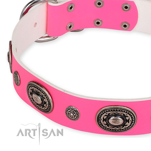Leather dog collar with stylish design rust-proof adornments