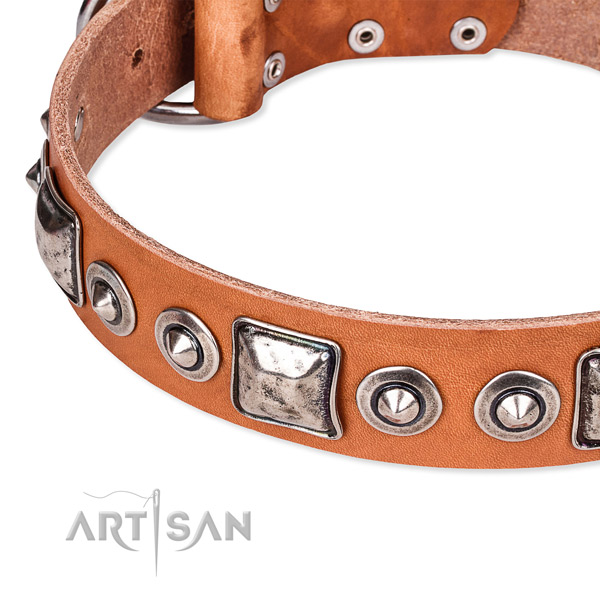 Soft leather dog collar handmade for your handsome pet