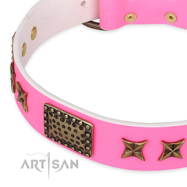 Full grain leather collar with corrosion proof traditional buckle for your attractive pet