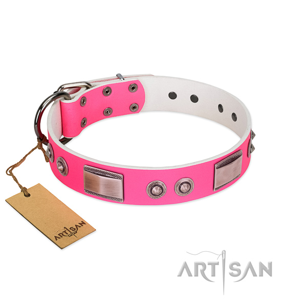 Amazing dog collar of genuine leather with studs