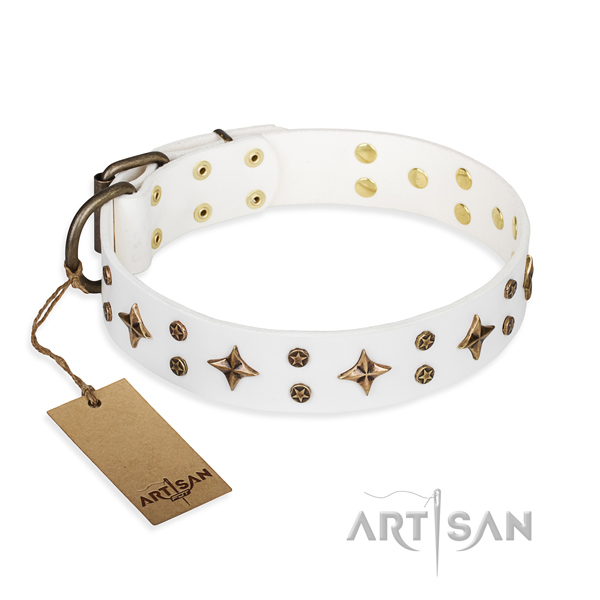Comfy wearing dog collar of strong full grain leather with studs