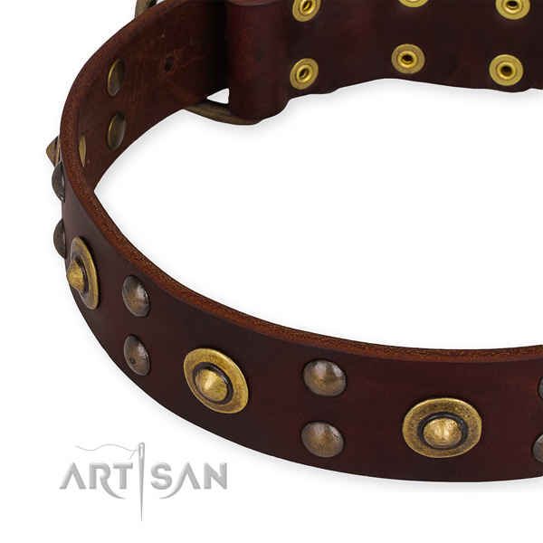 Full grain genuine leather collar with rust-proof D-ring for your impressive four-legged friend