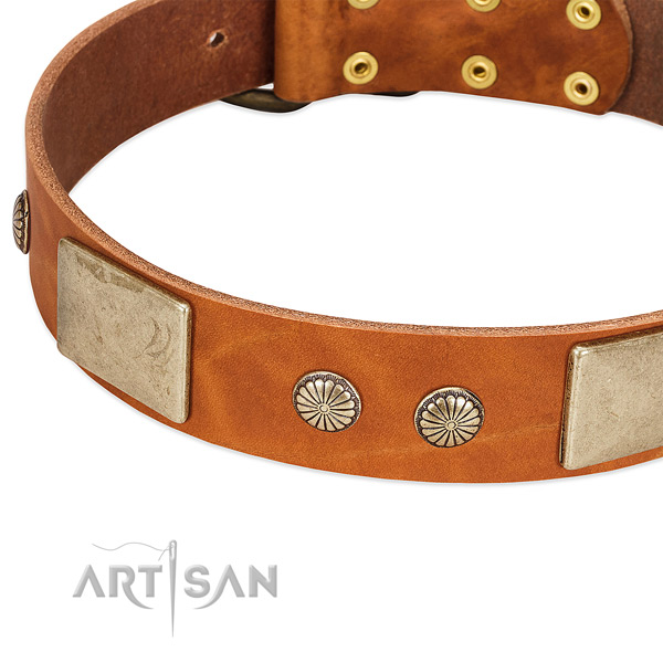 Corrosion resistant D-ring on full grain leather dog collar for your canine